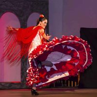Soirée show flamenco