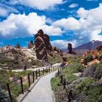 Demi-journée découverte du parc national de Teide