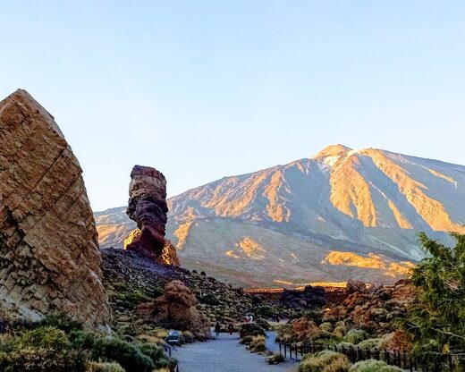 Demi-journée découverte du parc national de Teide