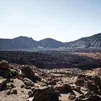 Demi-journée découverte du parc national de Teide