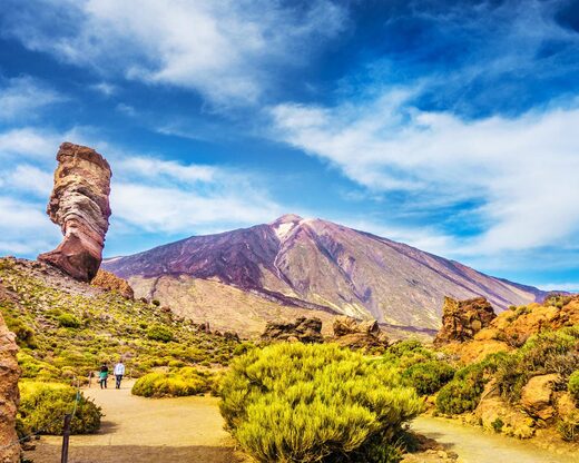 Demi-journée découverte du parc national de Teide