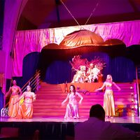 Soirée & Dîner-spectacle restaurant Sheherazade