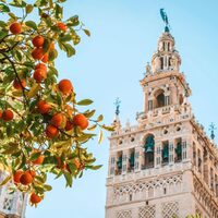Journée Complète à Séville, la ville reine d’Espagne