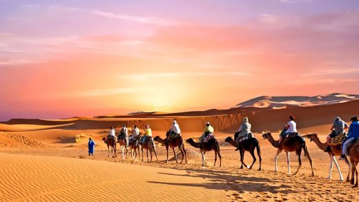 Safari : balade en chameau dans les dunes de sable, Quad et Buggy