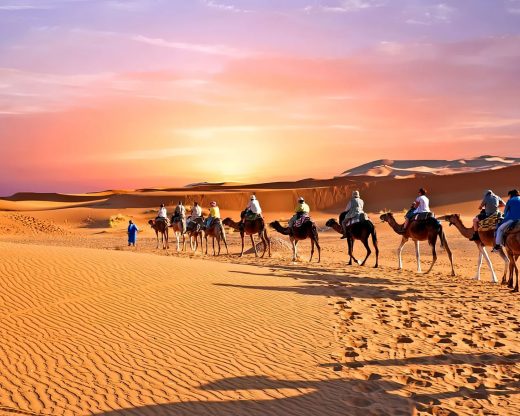 Safari : balade en chameau dans les dunes de sable, Quad et Buggy