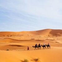 Safari : balade en chameau dans les dunes de sable, Quad et Buggy