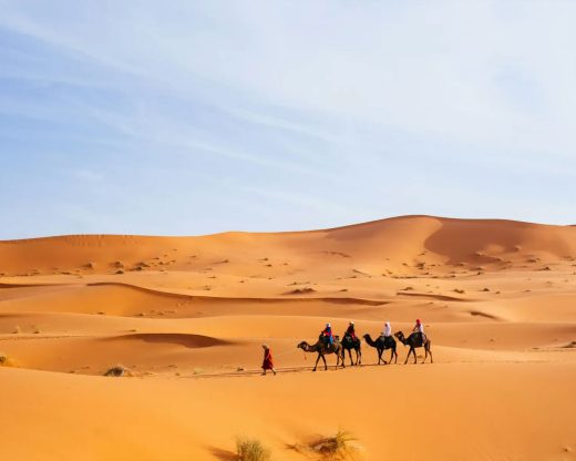 Safari : balade en chameau dans les dunes de sable, Quad et Buggy