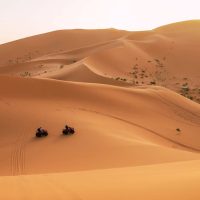 Safari : balade en chameau dans les dunes de sable, Quad et Buggy