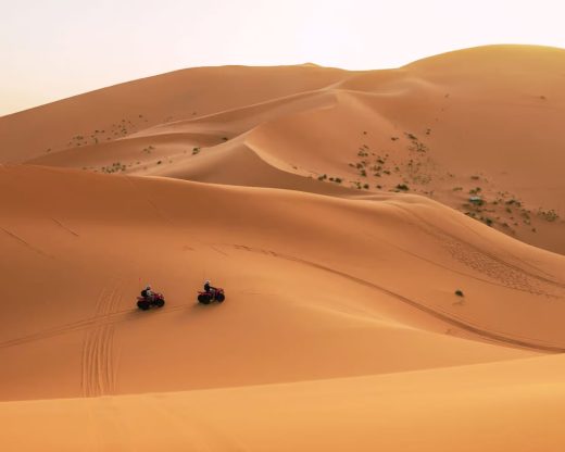 Safari : balade en chameau dans les dunes de sable, Quad et Buggy