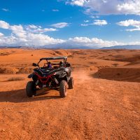 Safari : balade en chameau dans les dunes de sable, Quad et Buggy