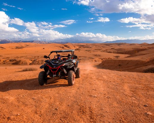 Safari : balade en chameau dans les dunes de sable, Quad et Buggy