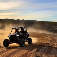 Safari : balade en chameau dans les dunes de sable, Quad et Buggy