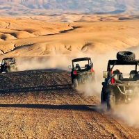 Safari : balade en chameau dans les dunes de sable, Quad et Buggy