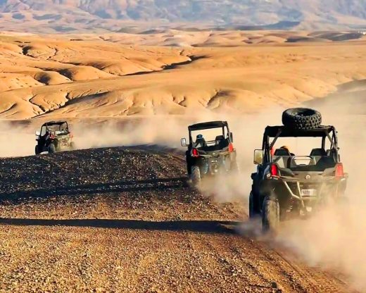 Safari : balade en chameau dans les dunes de sable, Quad et Buggy